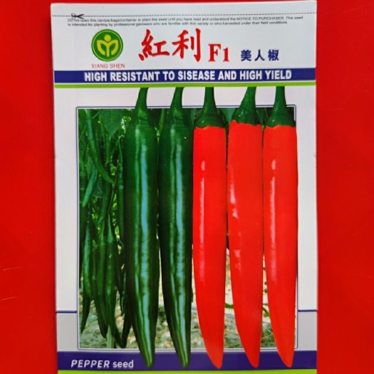 广州包邮 红利美人椒(5克包装)大果型海花红辣椒品种 抗病高产