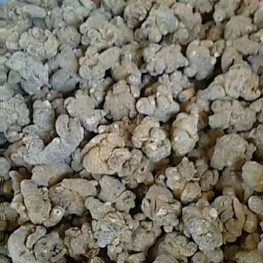 绍兴云南文山三七