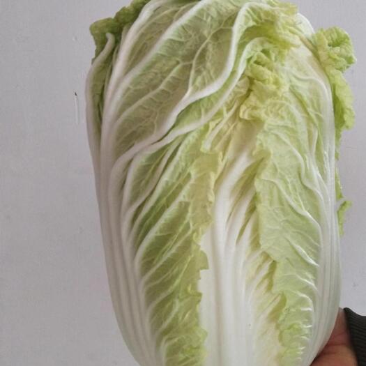 丰宁县玲珑黄