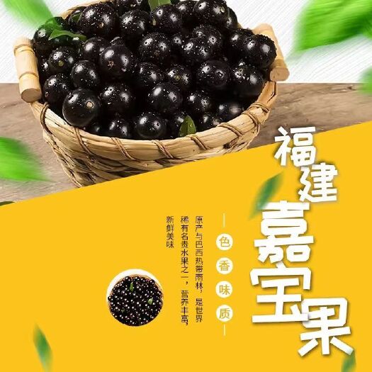 漳州树葡萄果（嘉宝果）