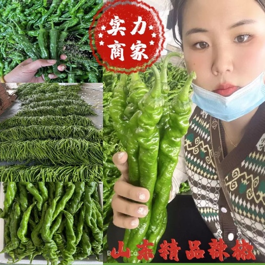 费县大陇椒  螺丝椒  大量上市 对接市场 电商 超市