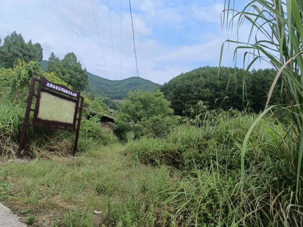 重庆市四川渠县果园地出租