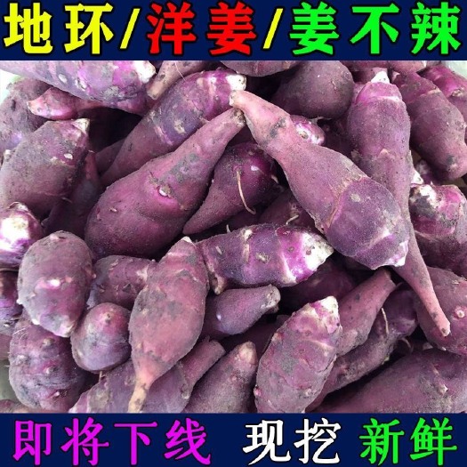 郓城县洋姜 红皮洋姜 白皮洋姜 胰岛果