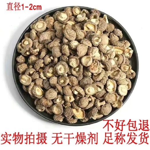 长沙小香菇 不加干燥剂特小香菇直径1cm新货干香菇冬菇干金钱菇小