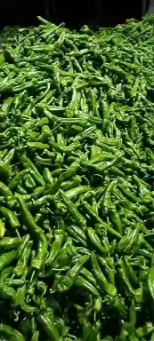 沈丘县301大量有货，价格优惠。