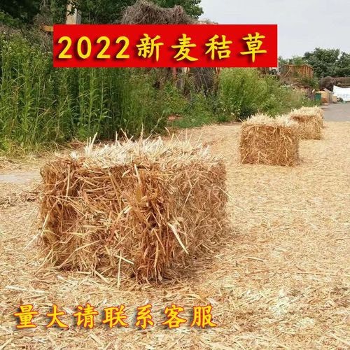 涡阳县小麦秸秆，猪牛羊饲料，量大有优惠