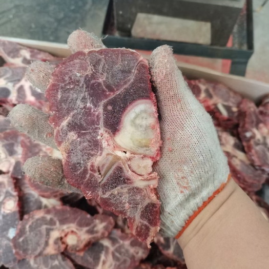 阳信县牛脖骨
