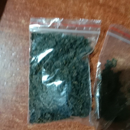 平和县高山奇兰茶