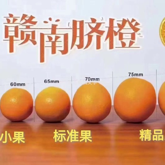 信丰县正宗赣南信丰脐橙