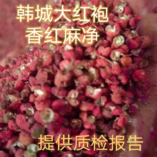 【包邮】2023陕西韩城狮子头大红袍花椒颗粒香红麻净火锅底料