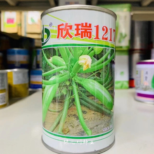 沭阳县新引进抗病毒西葫芦种子高产早熟山东欣瑞1217耐热翠绿西葫芦