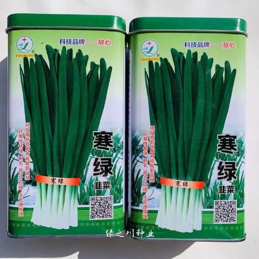 沭阳县久星寒绿韭菜种子 河南平顶山韭菜种子特抗寒高产不休眠韭菜种籽