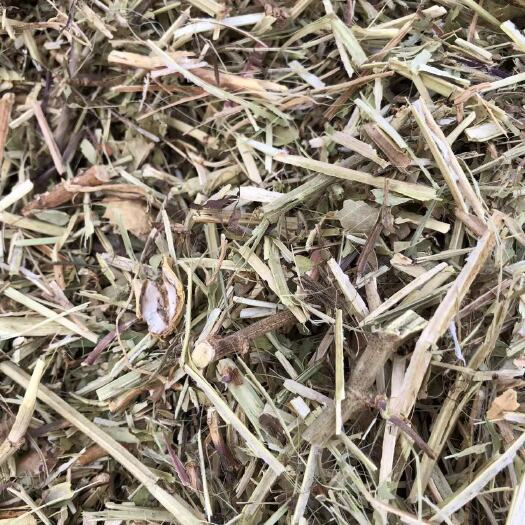 正阳县优质花生秧