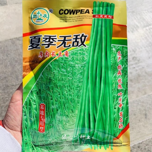 沭阳县基地专用型厚肉长豆角种子 夏季抗热抗病高产长豇豆种子翠绿油亮