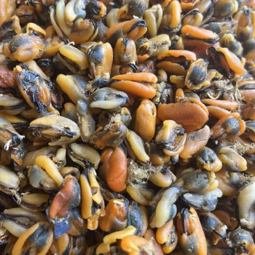 连云港海虹干 美味淡菜干 新鲜海虹干 海鲜淡菜 青口贻贝非牡蛎干海