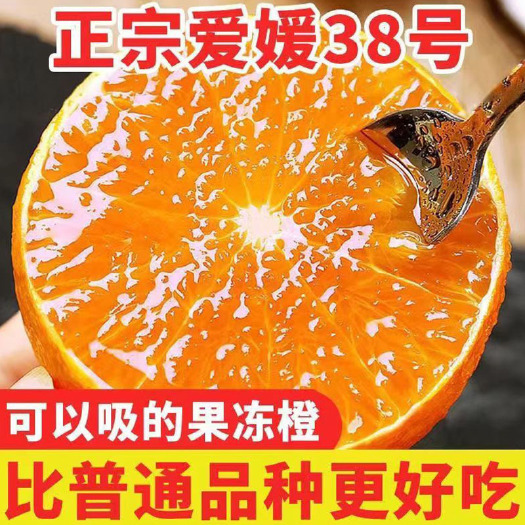 [一件代发]四川眉山爱媛38号果冻橙时令水果皮薄多汁批发代发
