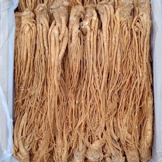 陇西县当归