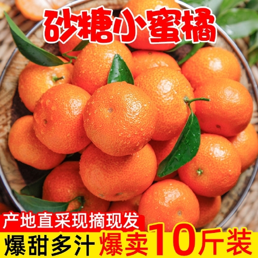广州湖北砂糖小蜜桔橘子蜜橘新鲜10斤当季桔子孕妇水果柑橘整箱包邮