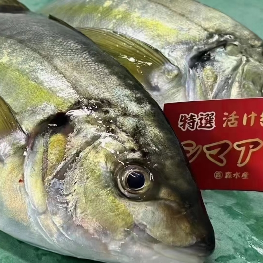 广州水晶池，金兰池
池鱼王/大竹荚