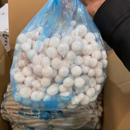 白玉菇新鲜