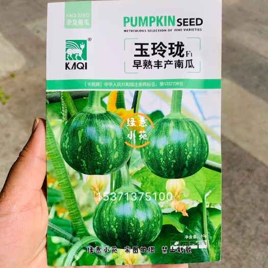 卡其玉玲珑早熟丰产南瓜种子春秋一串铃南瓜种子表皮深绿色瓜码密