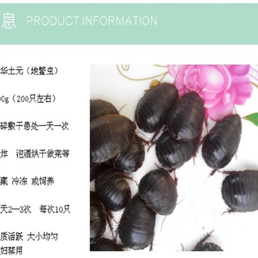 泗洪县活土元土元活体土元干品土鳖地鳖虫，土鳖子，活土元/500g包