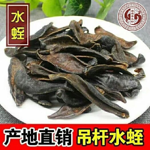 亳州蚂蟥水蛭 一手货源 各种规格