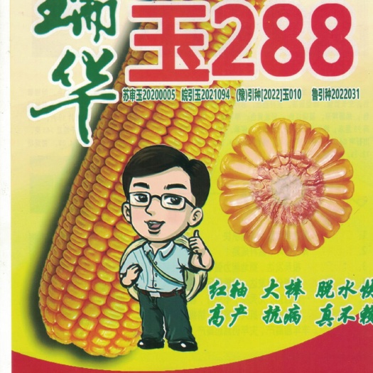 蒙城县瑞华玉288