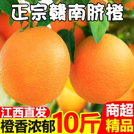 [一件代发]江西赣南脐橙新鲜当季水果橙子批发现摘果园直发