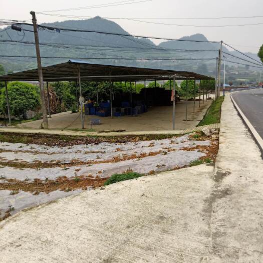 重庆市巴南丰盛90亩蔬菜基地转让