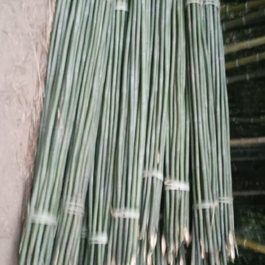 开江县白夾竹