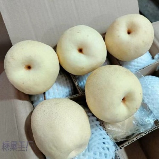 运城山西运城王过酥梨果皮光滑，果肉白色、多汁、味甜可口