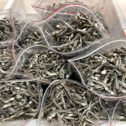 海口海南野生丁香鱼小鱼仔