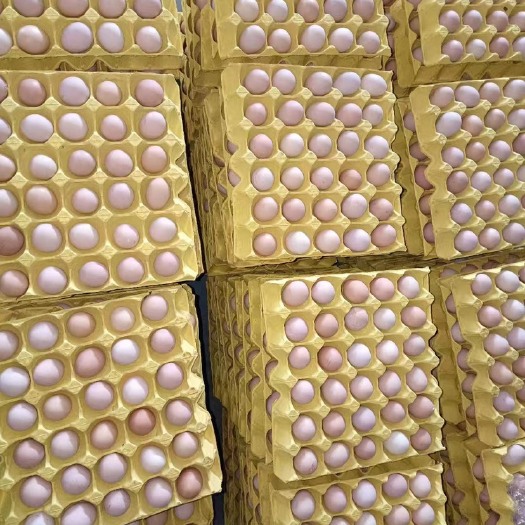 夏邑县【精品】土鸡蛋，专业人工验货，保质保量，诚信经营