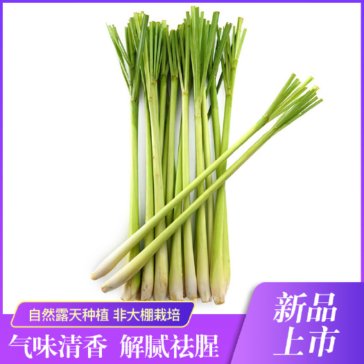 厦门新鲜柠檬草 香茅草 海鲜牛羊肉调味料 基地现采直发 2斤起批