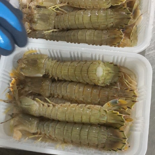 青島皮皮蝦           ，        ，     ，