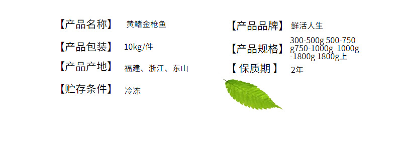 现货批发冷冻黄鳍金枪鱼 整条黄鳍大目金枪鱼