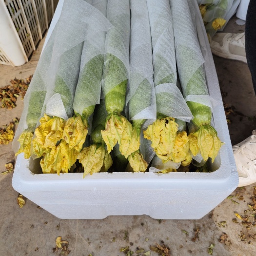 河南濮阳精品鲜花丝瓜，支持各种包装，全国发货！