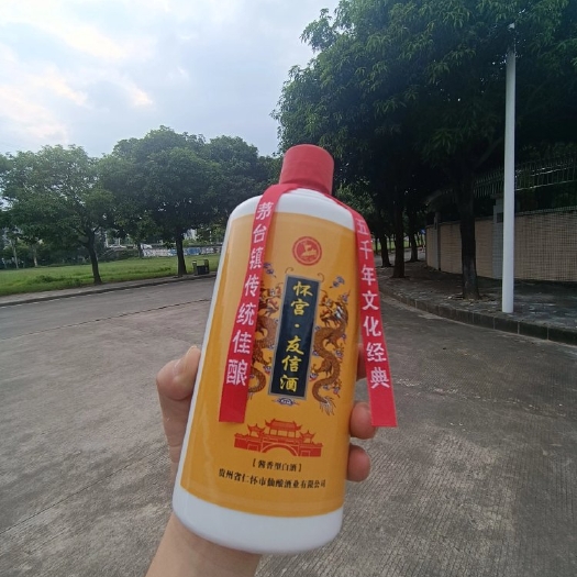 中山市53度仙酿怀宫友信酒500ml