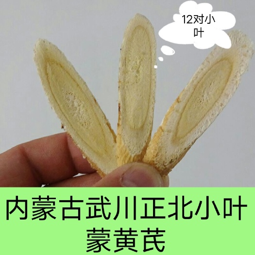 武川县内蒙古武川道地老区两年生正北小叶蒙黄芪柳叶片软质棉芪非铁芪