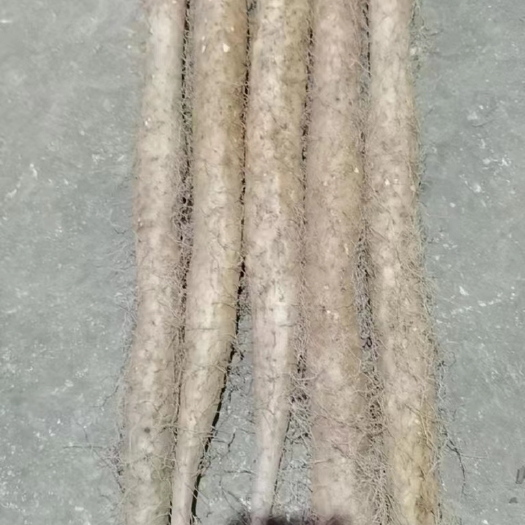 安顺淮山药
