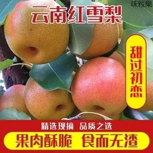 大理市红雪梨，云南