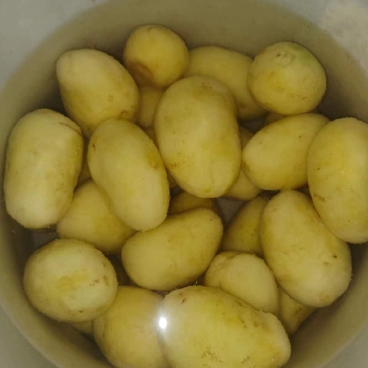 佛山脱皮土豆，土豆丝