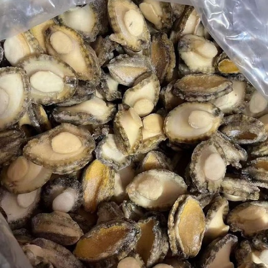 一手货源大连冻鲍鱼25头酒店￼餐饮