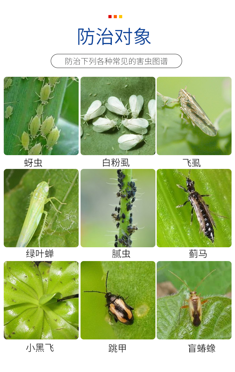 20%啶虫脒蚜虫蓟马腻虫白粉虱绿叶蝉花卉蔬菜果树农药杀虫剂