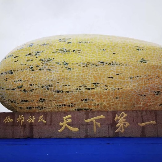 伽师县新疆哈密瓜  找长期的合作商 v ELYAS032