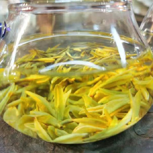 达州黄金芽
