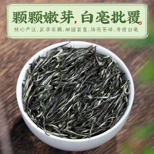 亳州【毛尖茶】2022新茶信阳绿茶明前高山手工毛尖浓香型春茶嫩芽