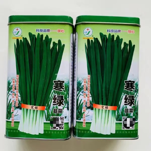 沭阳县韭菜种子久星寒绿韭菜冬季不休眠高产抗病辛香味浓品质优韭菜种子