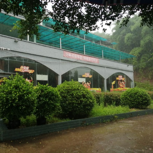 重庆市重庆市巴南区3800亩项目地招商
